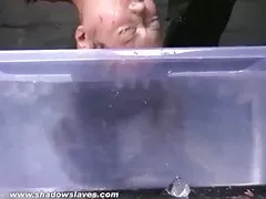 トイレのソファに3人組